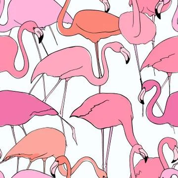 Flamingo seamless pattern Stock Illustration