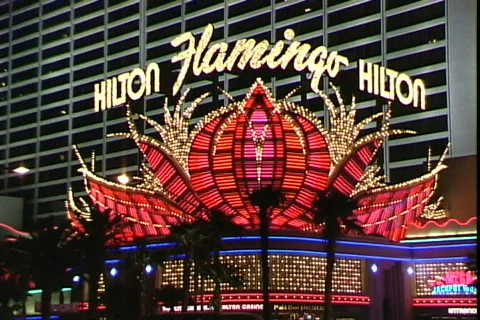 Flamingo Sign Video stock 817615