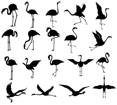 Flamingo silhouette Stock Illustration