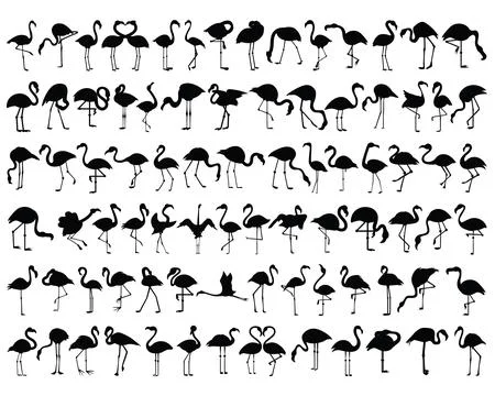FLAMINGO SILHOUETTE VECTOR ART 스톡 일러스트