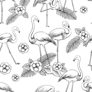 Flamingo sketch pattern. Seamless print of exotic tropical bird. Feathered Stock Illustration