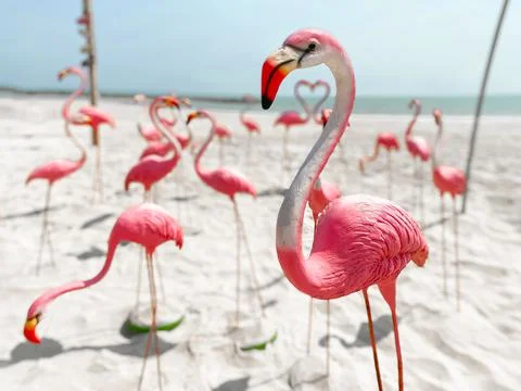 Flamingo statue on the beach Stock Photos