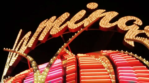 Flamingo tilt down 動画素材 1043305