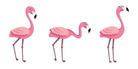 Flamingo - trendy vector illustration template in flat style with flamingos Illustration