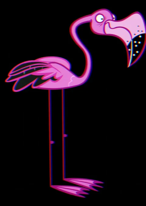 Flamingo Vector Animation Stock Footage 259500949