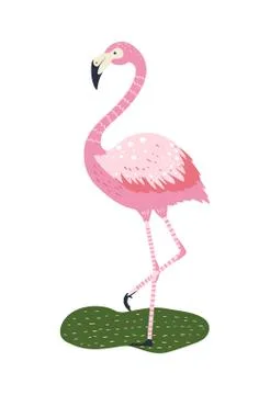 Flamingo vector cartoon character. Stock Illustration