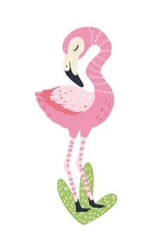 Flamingo vector cartoon character. Stock Illustration