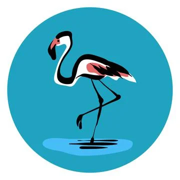 Flamingo vector illustration Stock Illustration