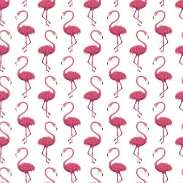 Flamingo White Seamless Pattern 스톡 일러스트