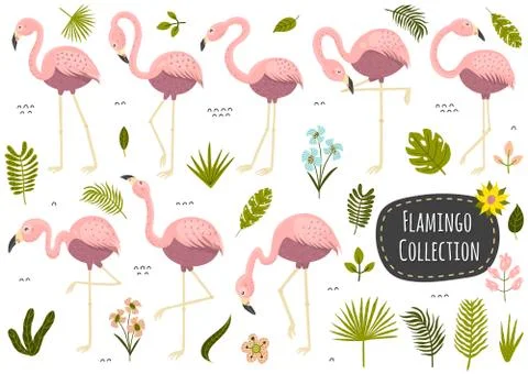 Flamingos and plants tropical collection. Set of isolated elements Stock Illustration