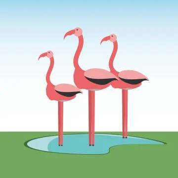 Flamingos bird icon Illustrazione stock