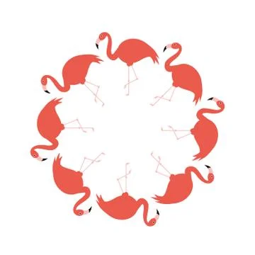 Flamingos in circle Stock Illustration