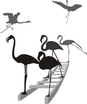 Flamingos on the ladder in grayscale Stock Illustration