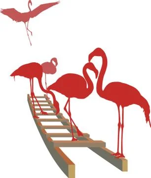 Flamingos on the ladder Stock-Illustration