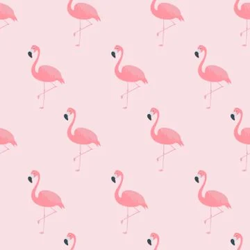 Flamingos Seamless Pattern Stock Illustration