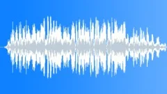 Flamingos Sound Effect