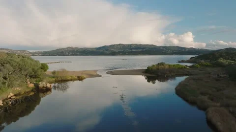 Flamingos take flight Video stock 232345690