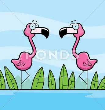 Flamingos Water Stock Illustration