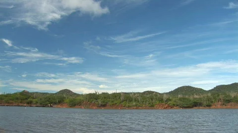 Flamingo's - wide Stock Footage 94644