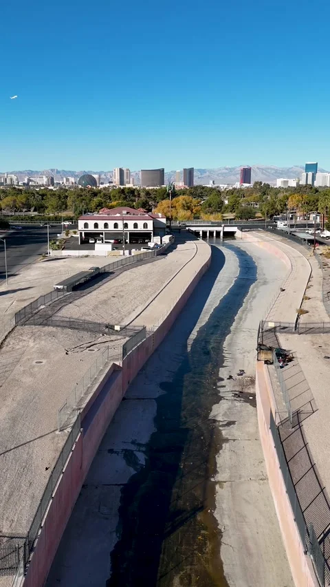 FlamingoWash1 Stock-Footage 296268940