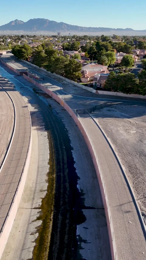 FlamingoWash2 Stock Footage 296268954