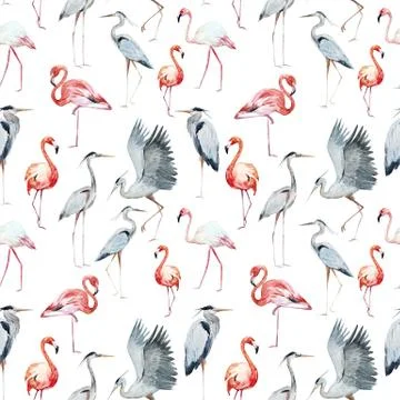 Flamngo and heron pattern Stock Illustration