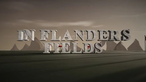In Flanders Fields Pale Granite 3D Letters in a Field of Poppies with Canadian 動画素材 343371799