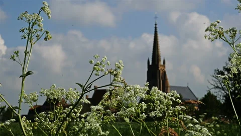Flanders springtime landscape :  village silhouette dolly shot Stock Footage 107527341