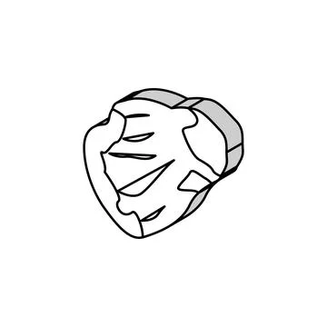 Flank beef meat isometric icon vector illustration Stock Illustration
