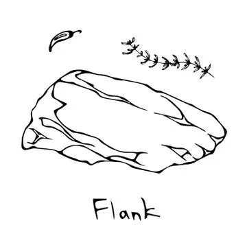 Flank Steak Cut Vector Isolated On White Background. Outline Stock Illustration
