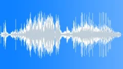 Flap Wing Bird 1 Sound Effect