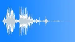 Flap Wing Bird 4Sound Effect