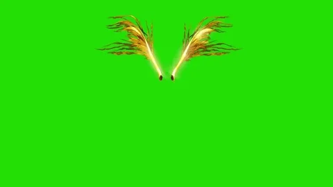 Flapping Gold Feathered Wings Front Green Screen 3D Rendering Animation Stock Footage