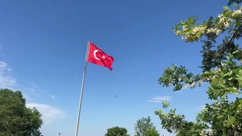 FLAPPING TURKISH FLAG Stockbeeldmateriaal 195083580