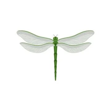 Flar vector icon of beautiful dragonfly with long green body and two pairs of Stock Illustration