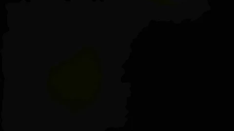 Flare 25 Stock Footage 224056326