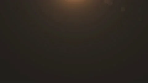 Flare 28 Stock Footage 219802370