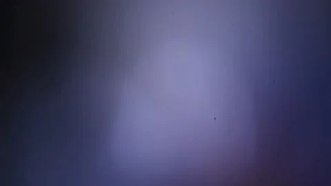 Flare 33 Stock Footage 224625280