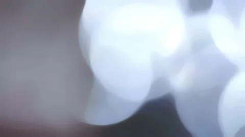 Flare 56 Stock Footage 233143407