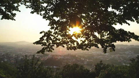 Flare and slow motion - sunset light between trees 動画素材 128092886