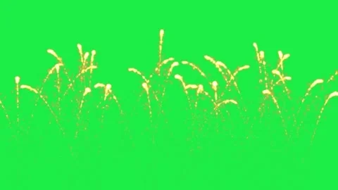 Flare Celebration Animation Effect Firecracker Flare Green Screen Video stock 303448650