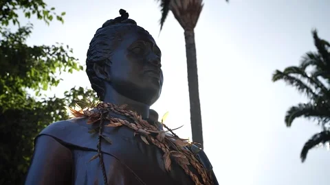 Flare Honolulu statue 110 Stock Footage 155495231