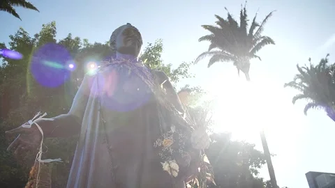 Flare Honolulu statue 111 Stock Footage 155495238