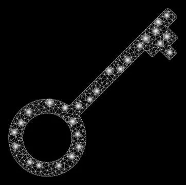 Flare Mesh Network Key with Flare Spots 库存插图