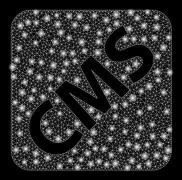 Flare Mesh Wire Frame Cms with Flare Spots 스톡 일러스트