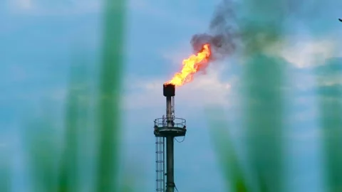 Flare stack burning off gas with a vibrant flame against a dusky sky, Stock Footage 271342959