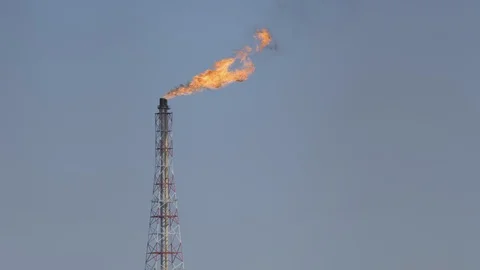 Flare stack of petrochemical refinery Stock Footage 95549456