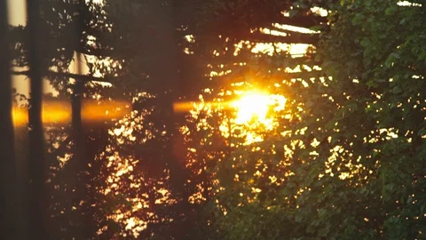 Flare - sunset light between trees and railings 動画素材 128092965