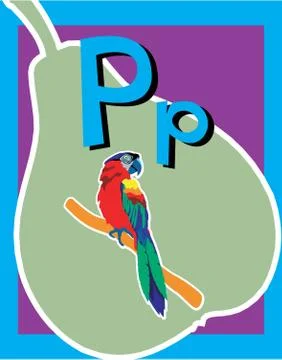 Flash Card Letter P Stock Illustration