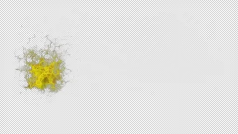 Flash eleven Stock Footage 261379892